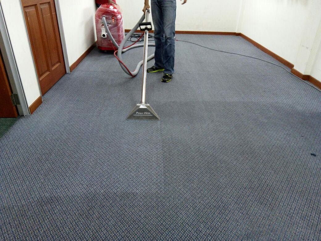 7 Edmonton Carpet Cleaning Tips Bluebird Janitorial Services